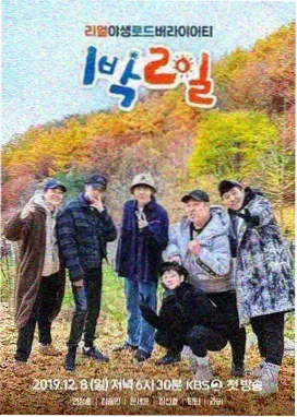 周末厨房对谈慢综艺场景